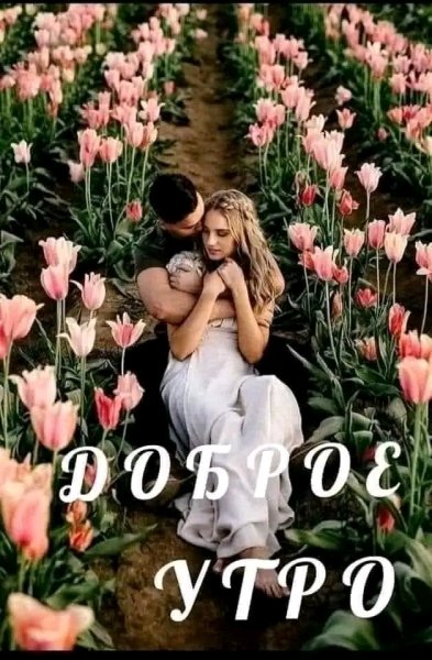 Любовь