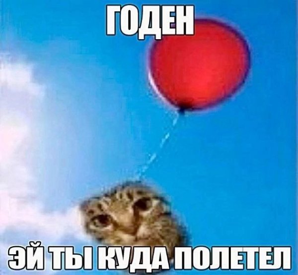picture_412696965