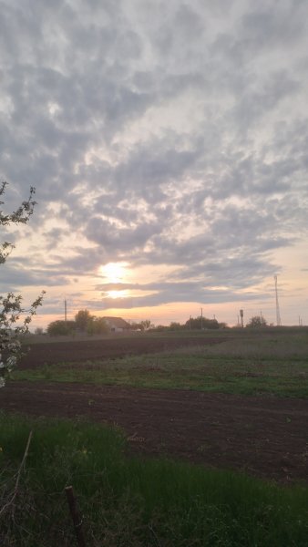 picture_412231569