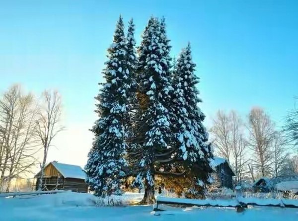 vecher