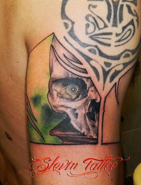 Tattoo (4883)