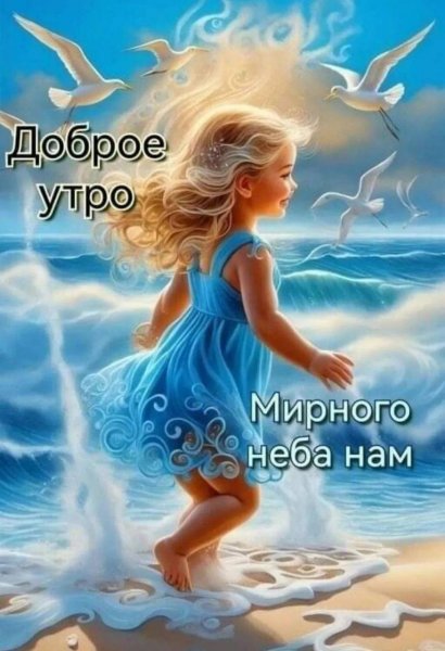 IMG-20240917-WA0022