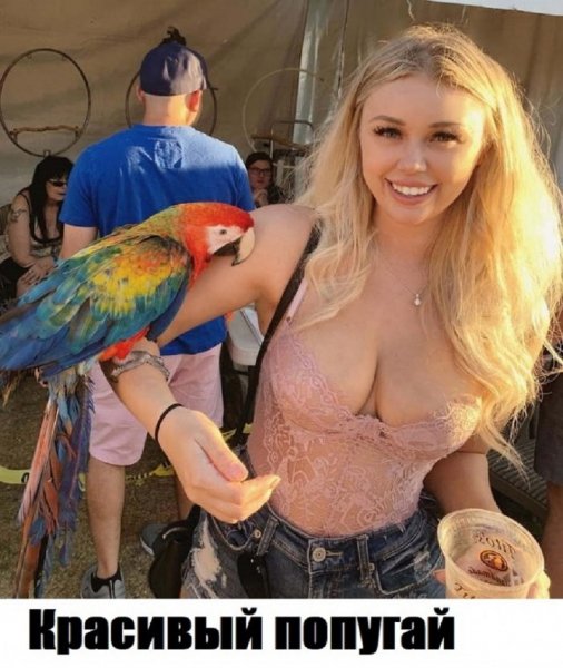 picture_358754394