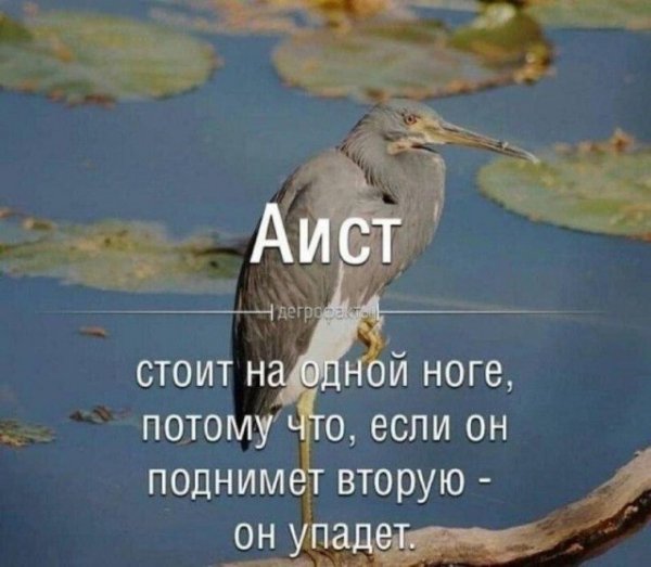 5f7c798a61 20561681