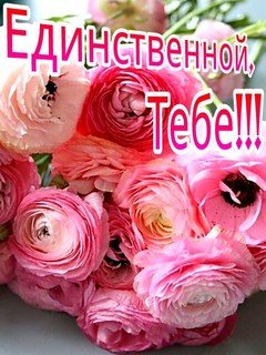 tebe-wap sasisa ru nasimke ru