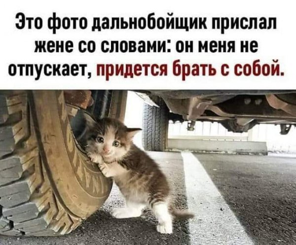 FB IMG 1610660791971