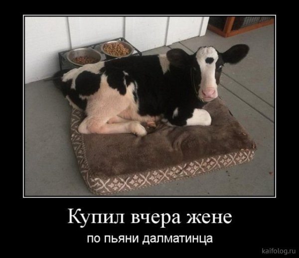 picture_381248943
