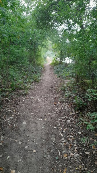 picture_369808043