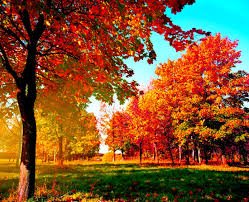 images (42)