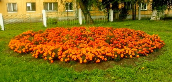 IMG 20160901 230725