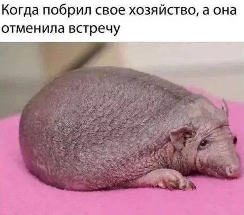 Ookaqxbq