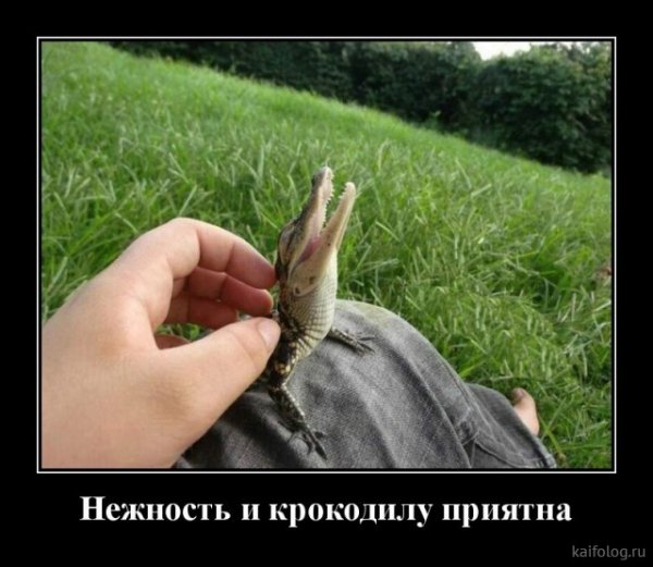 picture_379275710