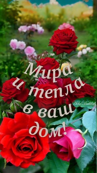 IMG 20220311 004401