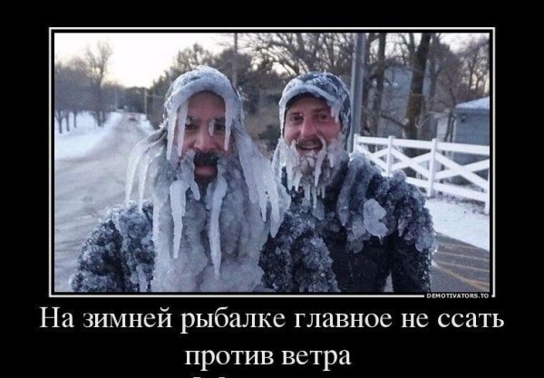 IMG 20260203 145347