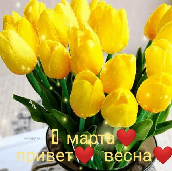 IMG 20220301 093044