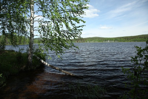 pics