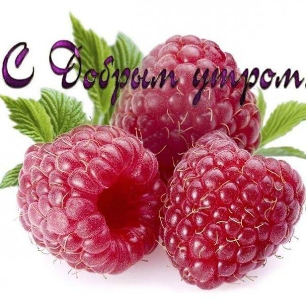 IMG-20210823-WA0000