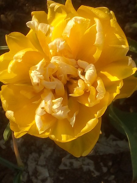 IMG 20240419 184857