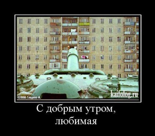 picture_376439481
