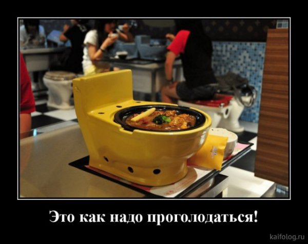 picture_381865735