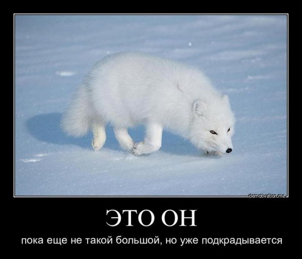 Это он