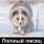 Музыка2