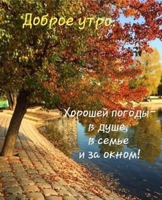 IMG-20210915-WA0000