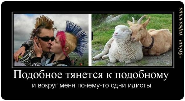 pics
