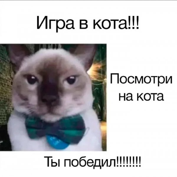 Ты выйграл )