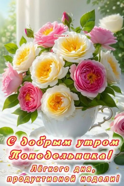 Друзья мои!