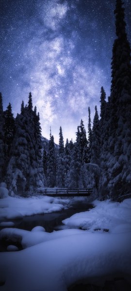 Android Wallpaper (212)