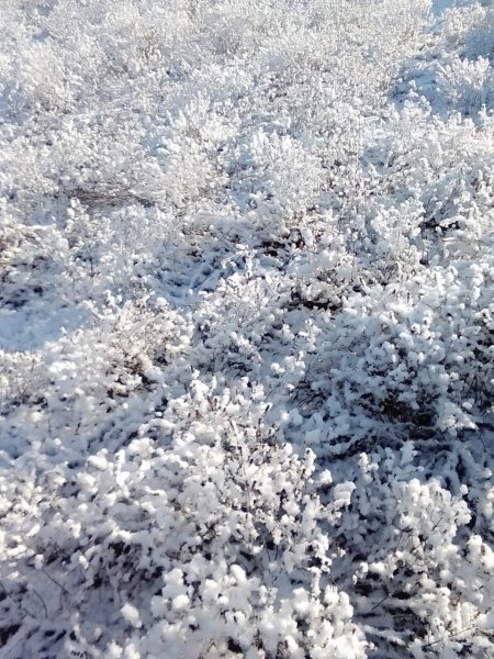 IMG-20231128-WA0003