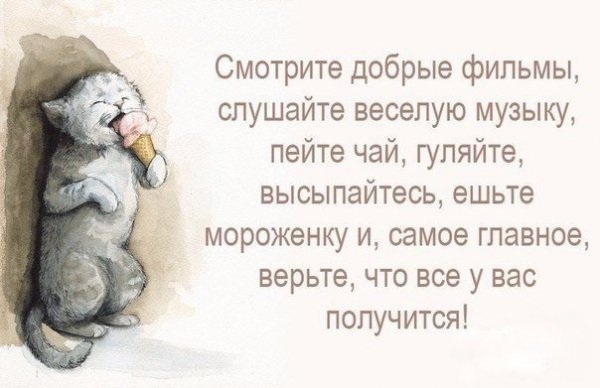 ZvkOglTqgd8