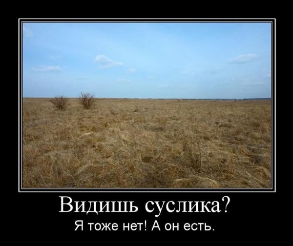 pics
