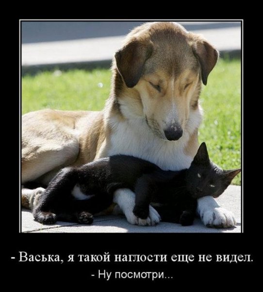 Опаньки!