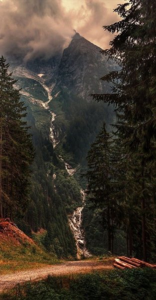 Арт Природа