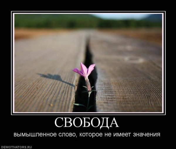 Demotivator (100)