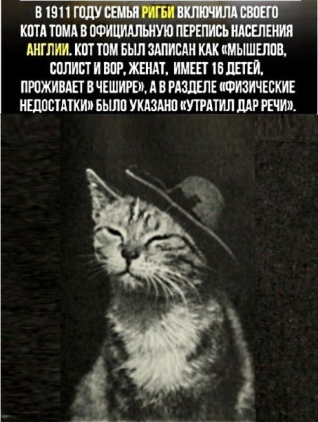 Солист и вор )
