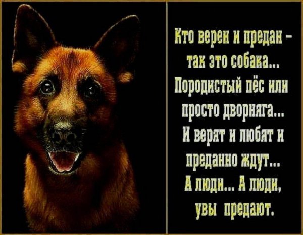 Всё верно!