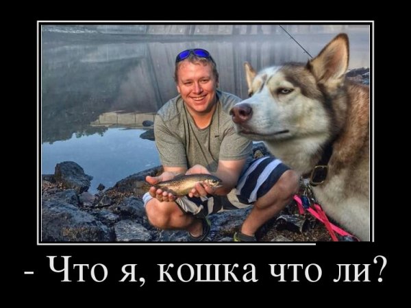 Прикольно
