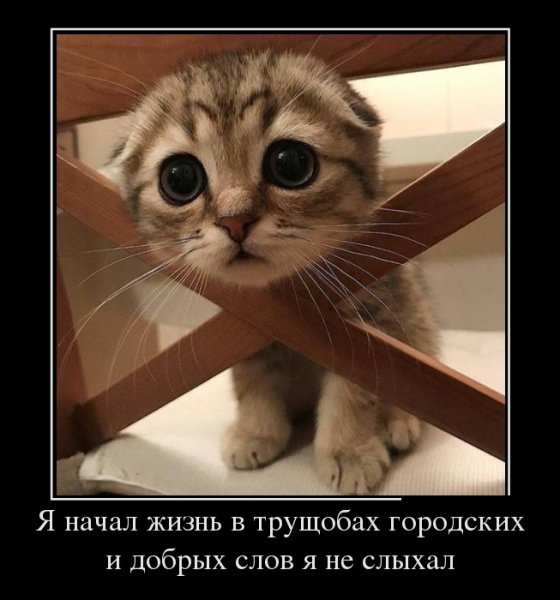 Бедняга