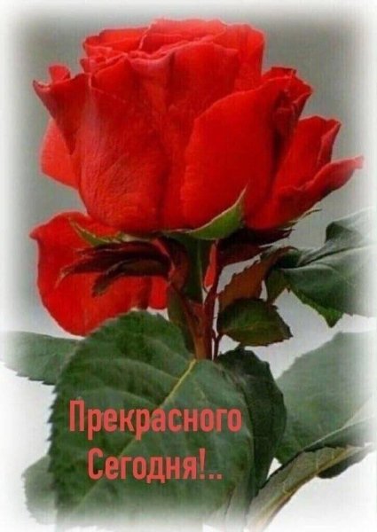 IMG 20220314 195104