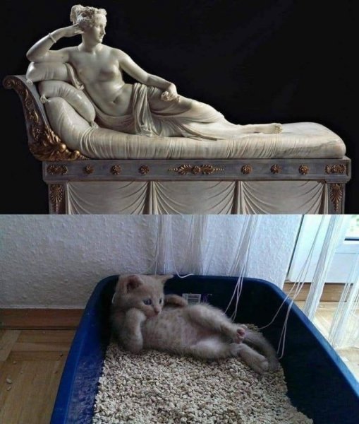 -memy-kartinki-i-foto-chtoby-ulybnutsja-pered-vyhodnymi-0