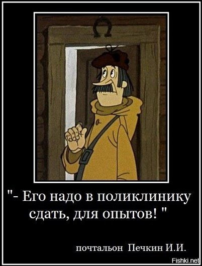 pics