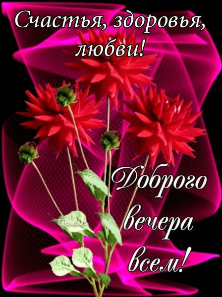 IMG 20220411 225846