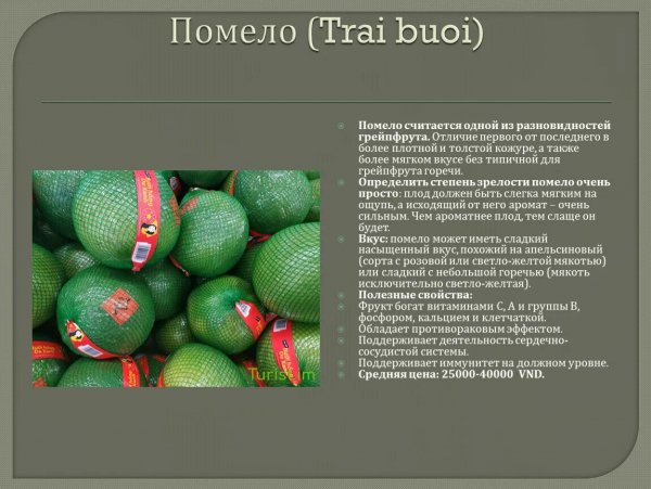 Помело