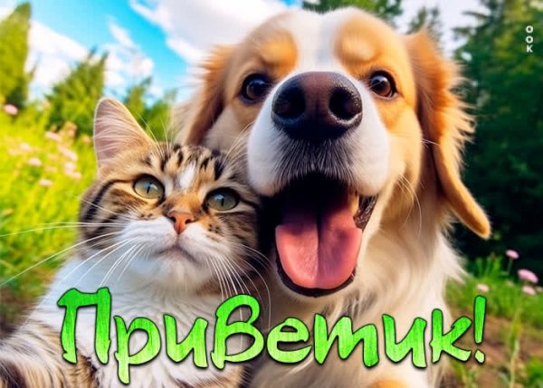 Приветик