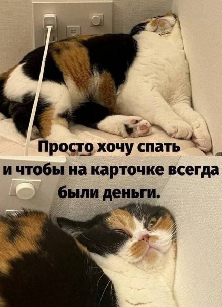 Блокни карту по 161фз )