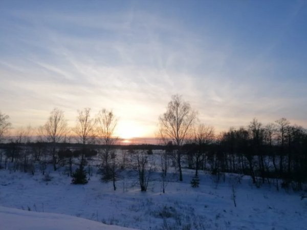 Люблю зиму