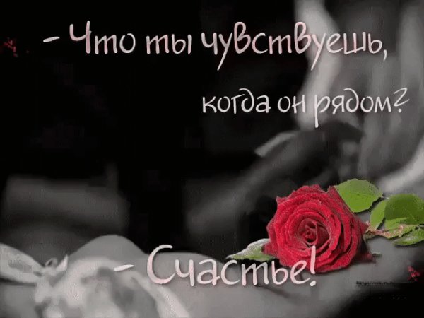 IMG 20181031 065544